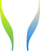 fleche-vert ehp boukhatmi